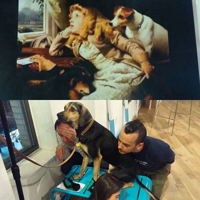 BarkBox Tableau Vivant